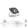 1 in 2-Bolts Flange Units Cast Iron UCFT205-16 Mounted Bearing UC205-16+FT205 #4 small image