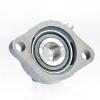 1 in 2-Bolt Flange Units Cast Iron SALF205-16 Mounted Bearing SA205-16+LF205 #3 small image