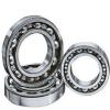 60/32ZN, Portugal Single Row Radial Ball Bearing - Single Shielded w/ Snap Ring Groove
