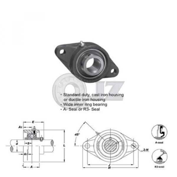 35 mm 2-Bolts Flange Units Cast Iron UCFL207 Mounted Bearing UC207 + FL207 #2 image