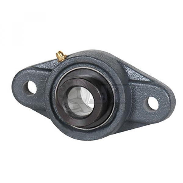 1.25 in 2-Bolts Flange Units Cast Iron HCFL207-20 Mounted Bearing HC207-20+FL207 #1 image